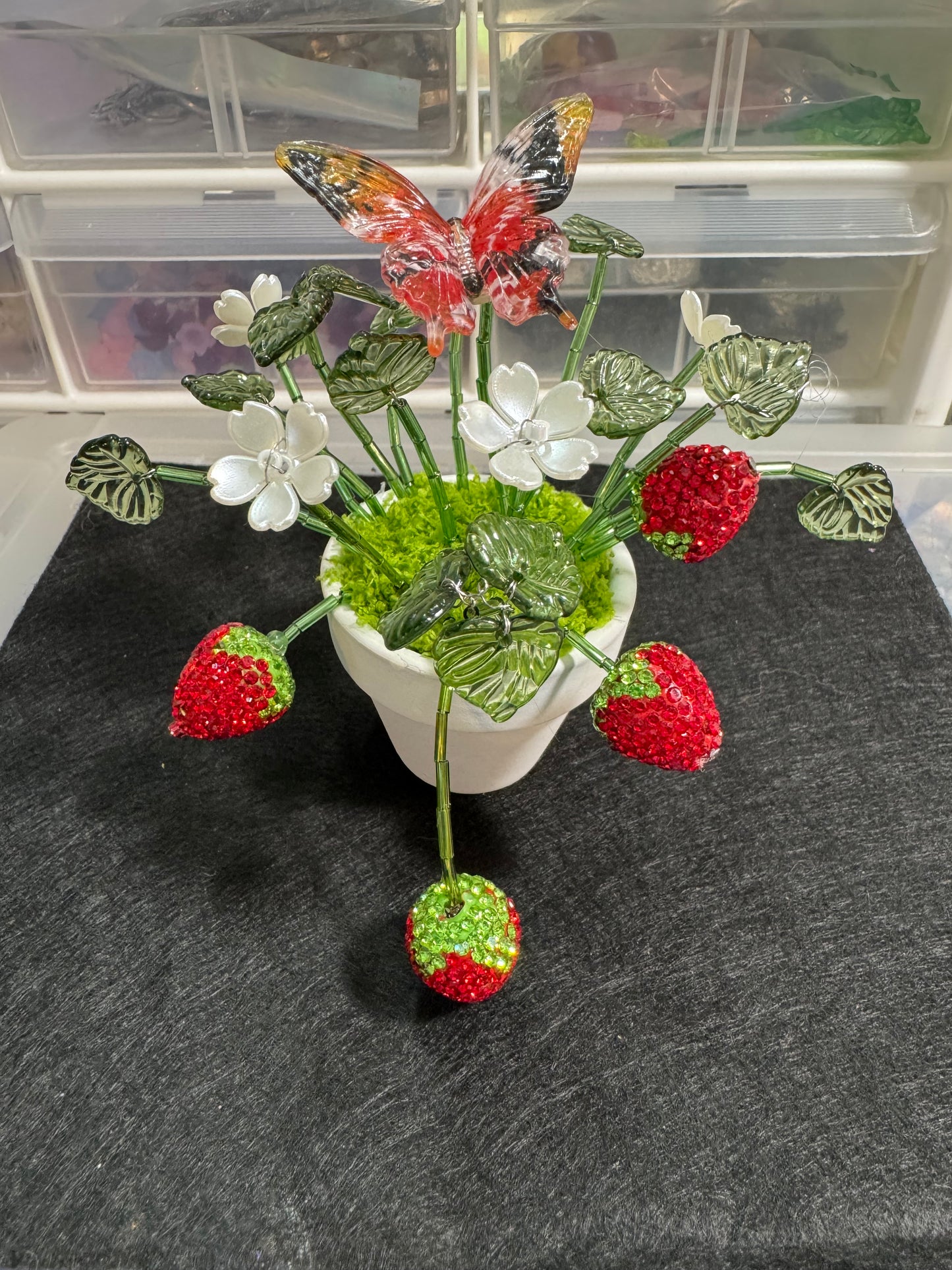 26. Beaded strawberry plant