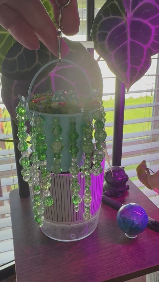 12. Beaded forever plant